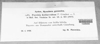 Puccinia scillae-rubrae image